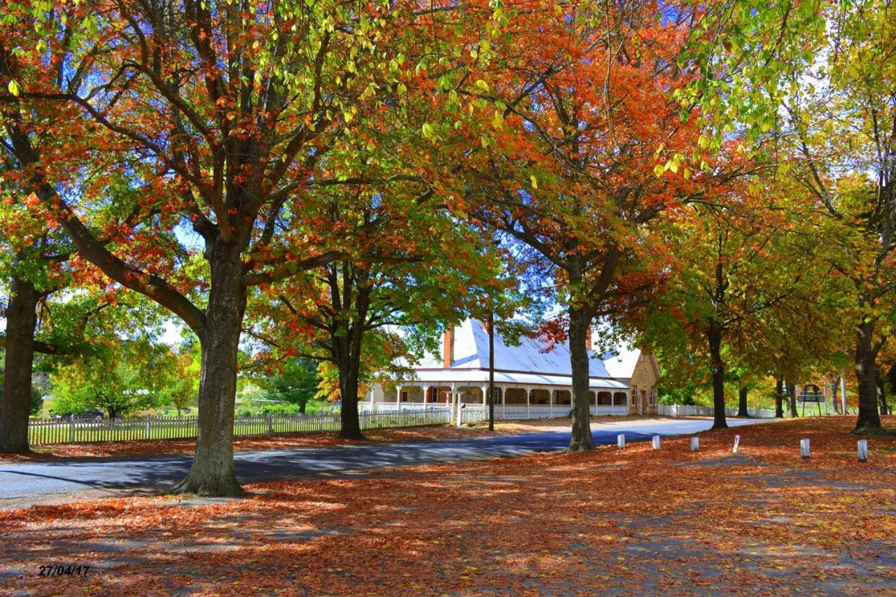 Settlers Motor Inn Tenterfield Exteriér fotografie